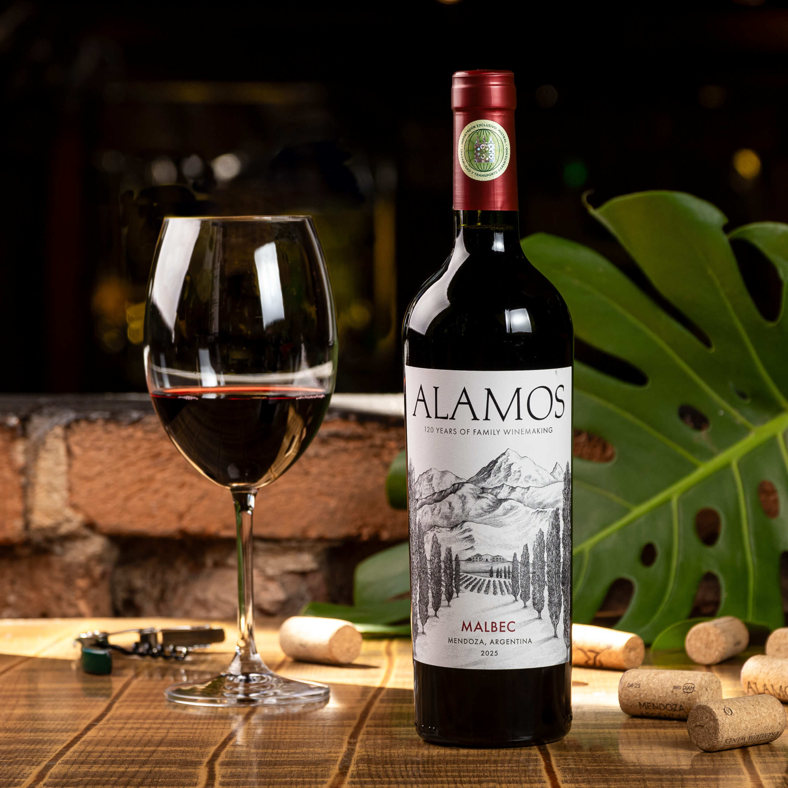 Alamos Malbec Tinto