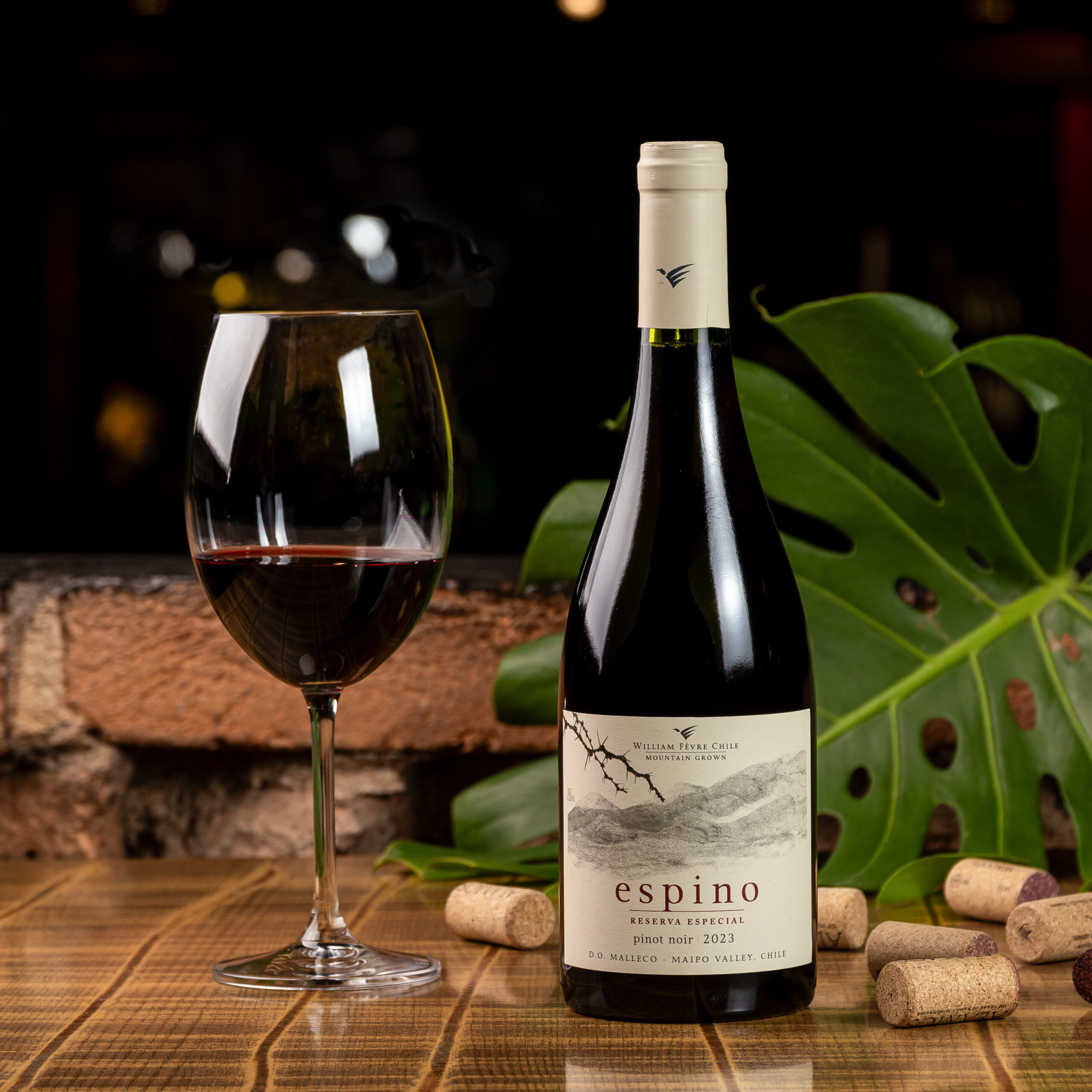 Espino Reserva Pinot Noir