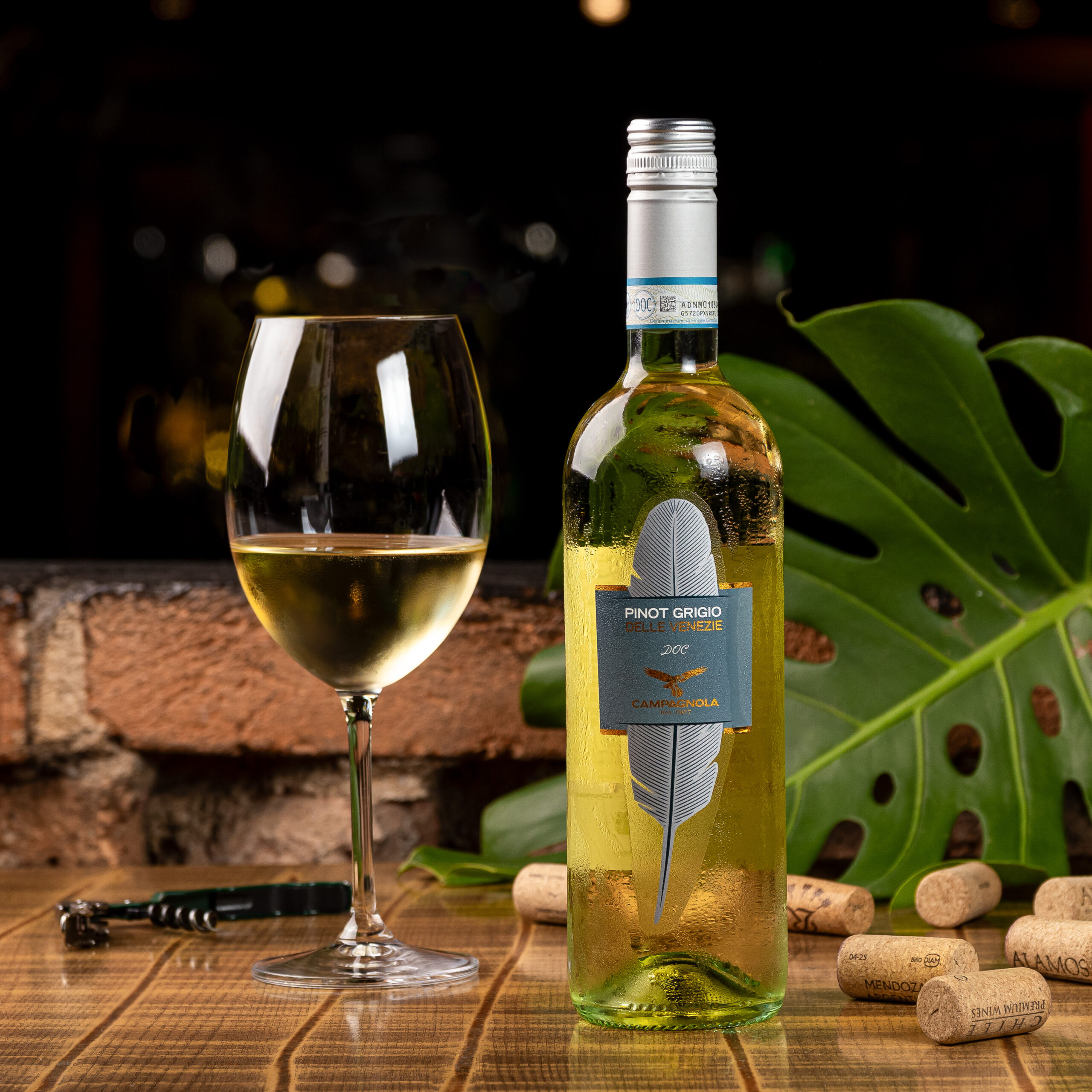 Pinot Grigio DOC Delle Venezie