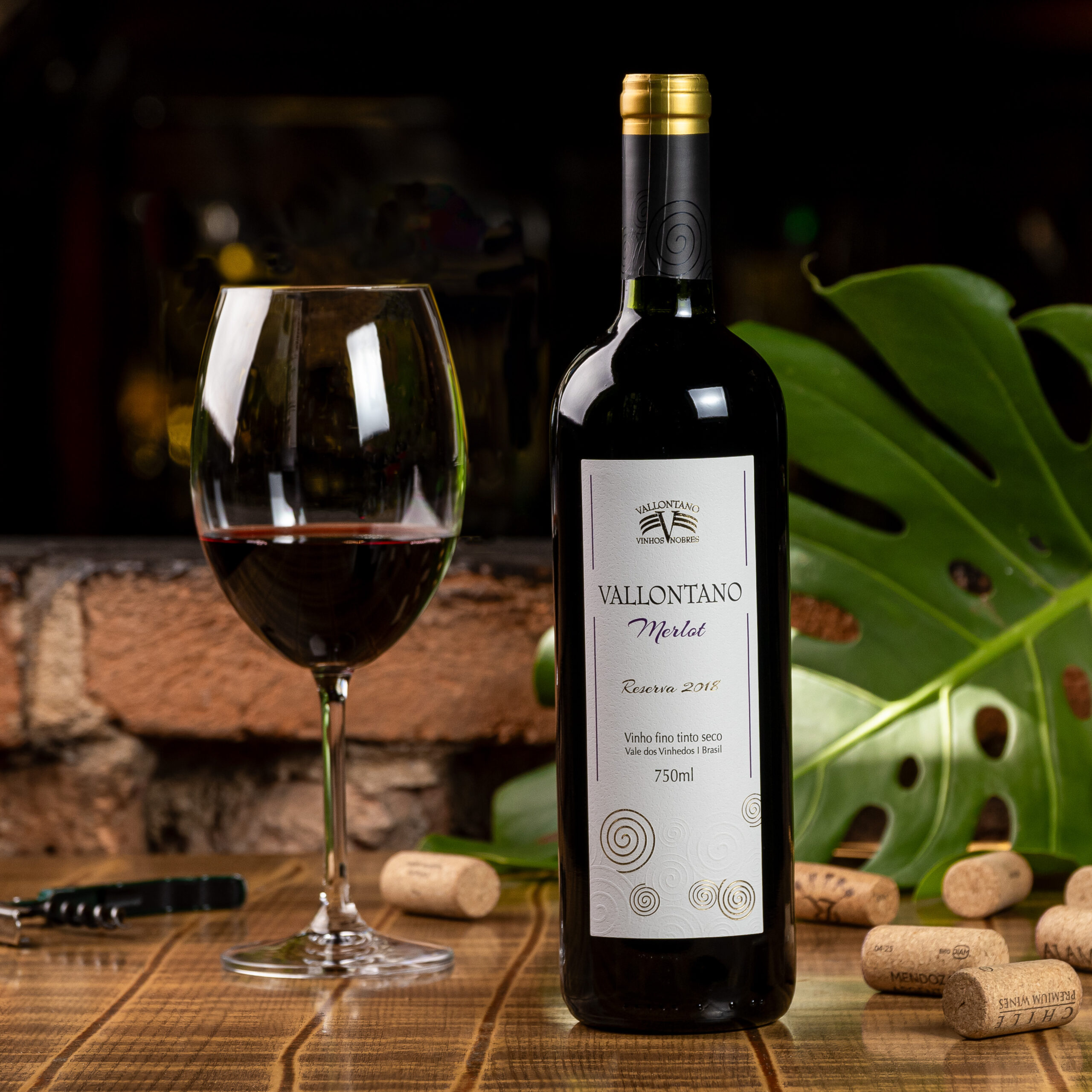 Vallontano Merlot Reserva